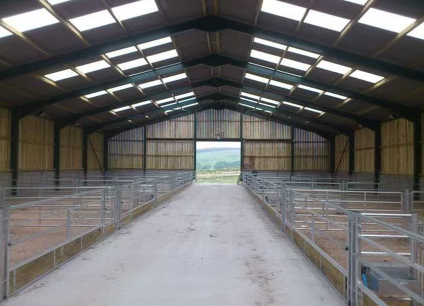 未标题-1_0002_steel-cow-shed-dairy-farm-3 (3)