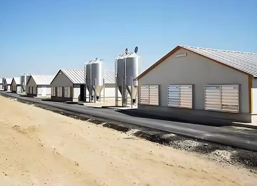 未标题-1_0001_steel-chicken-house-3-2