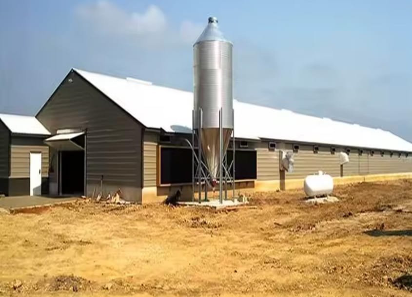 未标题-1_0003_steel-chicken-house-2-4