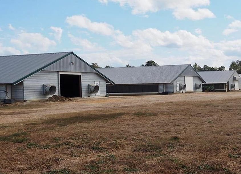 未标题-1_0001_steel-chicken-house-16 (2)