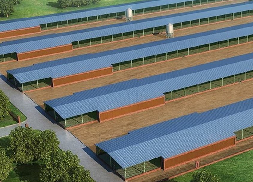 未标题-1_0002_steel-chicken-house-2-3