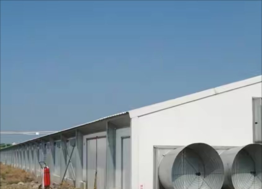 steel-chicken-house-6 (2)