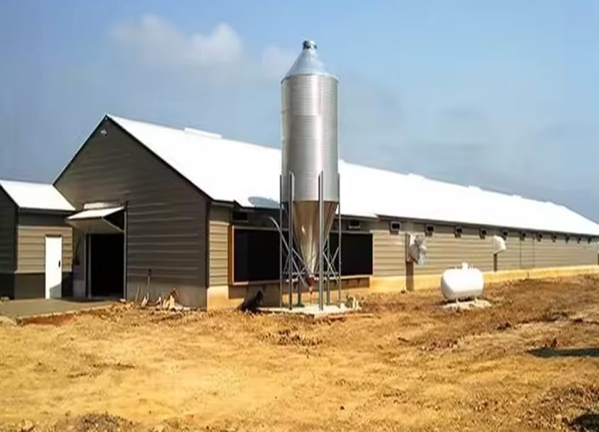未标题-1_0002_steel-chicken-house-5 (3)