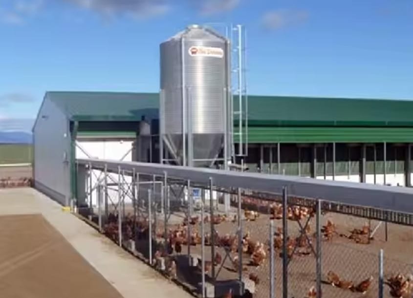 未标题-1_0000_steel-chicken-house-12 (1)
