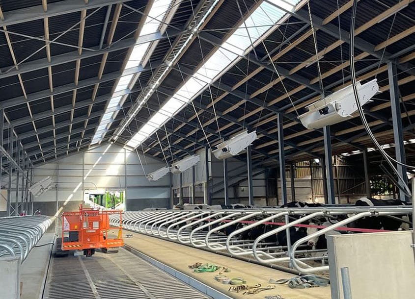 未标题-1_0003_steel-cow-shed-dairy-farm-4 (3)