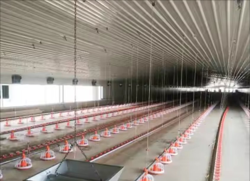 steel-chicken-house-6 (3)