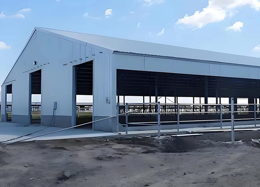 未标题-1_0002_steel-cow-shed-dairy-farm-2 (2)